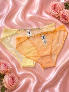 PINK Victoria’s Secret Sheer Mesh Bikini Panties Fruit Embroidery Large NWT